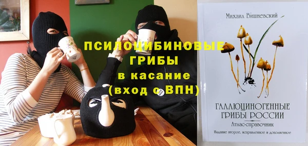 гашиш Богородск