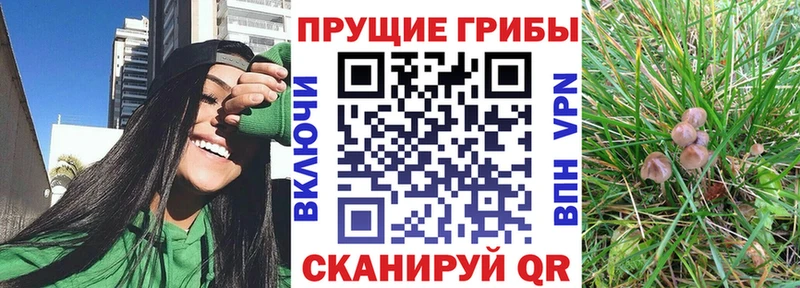 Псилоцибиновые грибы Magic Shrooms  Велиж 